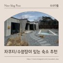 수수다올 이미지