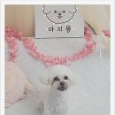 장수서창동-1 이미지