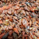 구기자먹는법 이미지