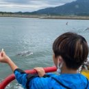 대도파라다이스 야영장 이미지