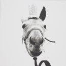 정재석농장 이미지