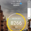 천보경희한의원 | 다이어트식단일지(23/11/12/일)