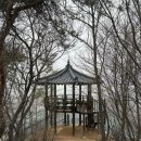 햇살복집 | 김포 고촌복집 시골집 , 능이누룽지백숙 복지리 아구찜(메뉴 후기 총정리) / 하이디로그