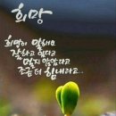 중앙요양병원 이미지