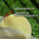 리치바 | 린스로 못 돌아가는 실리콘 없는 헤어 트리트먼트바 해바 슈퍼리치 후기