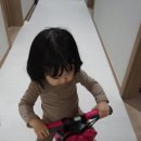 붕붕카마스타 이미지