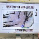 세븐일레븐 대전용문스타점 | 대전 헤드스파 고민이라면 롯데백화점 헤드스파K 탈모 두피관리 후기