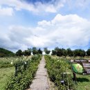 용두공원 이미지