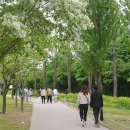 사천교 버스정류장 이미지