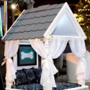 애견하우스 이미지