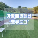 땡큐도그