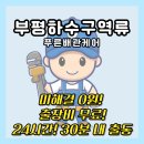 종로-현장-종로-세저-009 | 부평 하수구 역류, 아파트 리모델링 전 꼭 해야 했던 배관 청소