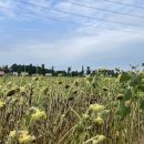 대부도해양본부 이미지