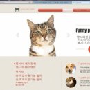 퍼니펫