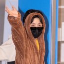 태형안전 이미지