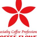 커피 플라워 이미지