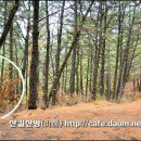 정자항 공원 이미지