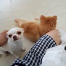 욜로호텔 이미지