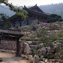 도초 만년사 Daum카페