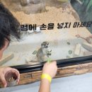 수달앤쥬 이미지