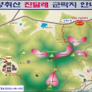 여수,영취산 "진달래천국" 4월8일(토요일) 이미지
