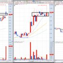 세한트레이딩 이미지