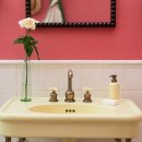 도도 Grooming 이미지