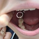 서울예스치과의원 이미지