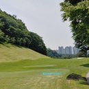 중부대로33 | “여기 진짜 숨겨놨나요…⛳수원CC 5월 신록 라운드, 부부팀이 반해버린 이유”