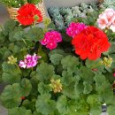 야호공인중개사사무소 이미지