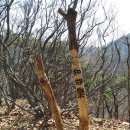 동읍378 | 금병산∼응봉산∼내정병봉∼정병산