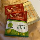 영랑호수공원 | 속초 영랑호수공원, 등대해수욕장 맛집 피자씨 다녀온 후기