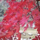 구수골농장 이미지