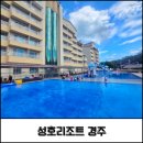 성호 | 경주 가성비 숙소 추천 성호리조트 슈페리어룸 수영장 이용 후기