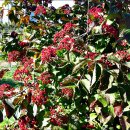 경기둘레길 김포고양4코스 이미지