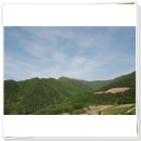 봄기차 타고 떠나 오른 산 강원도 정선 함백 질운산(2011.5.22.일요일)-마지막- 이미지
