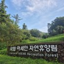 국립아세안자연휴양림. 깔끔하고 쾌적했던 자연휴양림 캄보디아 후기
