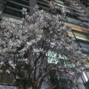 정각사입구 이미지