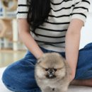 스타일독앤캣 강아지고양이 경기광주점 | 경기광주강아지분양 소소한 행복 찾기