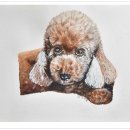 강아지 그리다 이미지