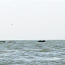 한창구조 이미지