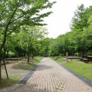 도학야영장 이미지