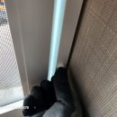 퇴계주공1단지 이미지