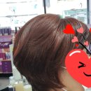 큐사랑(천연머리염색)