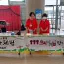 안동영호초등학교 이미지