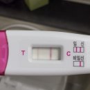 찾아온 기적(임테기 두 줄) 👼 &amp; 임신 전 갑상선 수치(TSH) 관리 내과 추천 (강서구 까치산역 참따뜻한내과)