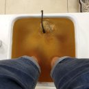 디톡하우스 이미지