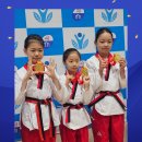 솔향태권도 이미지