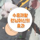 경기동물병원 이미지