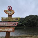 일영나들이 이미지